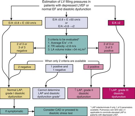 lv compliance|Lv diastolic function guidelines.